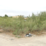  Grundstück zu verkaufen in Allende, Coahuila, Allende