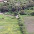  Land for sale in Limatambo, Cusco, Limatambo