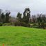  Land for sale in Chile, Llanquihue, Llanquihue, Los Lagos, Chile