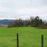  Land for sale in Chile, Llanquihue, Llanquihue, Los Lagos, Chile