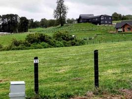  Land for sale in Chile, Llanquihue, Llanquihue, Los Lagos, Chile