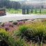  Land for sale in Chile, Llanquihue, Llanquihue, Los Lagos, Chile