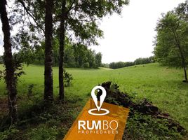  Land for sale in Araucania, Villarrica, Cautin, Araucania