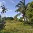  Land for rent in San Remigio, Cebu, San Remigio