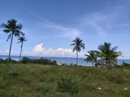  Grundstück zu vermieten in San Remigio, Cebu, San Remigio