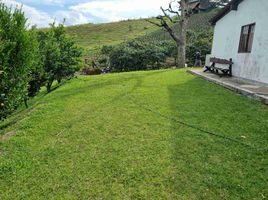 4 Habitación Casa en venta en El Santuario, Antioquia, El Santuario