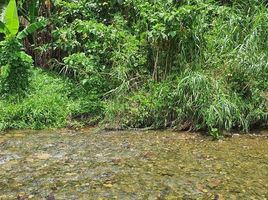  Grundstück zu verkaufen in Oriental Mindoro, Mimaropa, Socorro, Oriental Mindoro