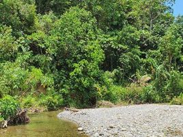  Land for sale in Socorro, Oriental Mindoro, Socorro