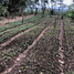  Terreno (Parcela) en venta en Norzagaray, Central Luzon, Norzagaray