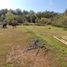  Terrain for sale in Linares, Maule, Linares, Linares