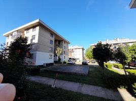 3 Bedroom Apartment for rent in Chile, Chillan, Diguillin, Nuble, Chile