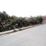  Land for sale in San Agustin Tlaxiaca, Hidalgo, San Agustin Tlaxiaca, Hidalgo