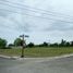  Land for sale in Cordova, Central Visayas, Cordova