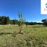  Terrain for sale in Araucania, Pucon, Cautin, Araucania