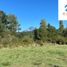  Land for sale in Cautin, Araucania, Pucon, Cautin