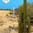  Grundstück zu verkaufen in Dist Juquila, Oaxaca, Dist Juquila