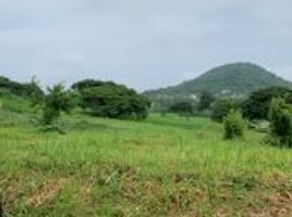  Terreno (Parcela) en venta en Calamba City, Calabarzon, Calamba City, Laguna, Calabarzon, Filipinas