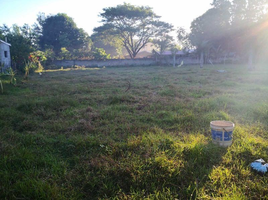  Land for sale in Mangatarem, Pangasinan, Mangatarem