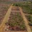  Terreno (Parcela) en venta en Oaxaca, Dist Pochutla, Oaxaca