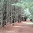  Land for sale in Villa De Arriaga San Luis Potosi, Villa De Arriaga