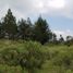  Land for sale in Villa De Arriaga San Luis Potosi, Villa De Arriaga