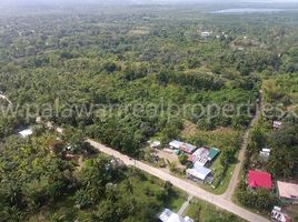  Land for sale in Puerto Princesa City, Mimaropa, Puerto Princesa City, Palawan, Mimaropa