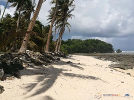  Grundstück zu verkaufen in Del Carmen, Caraga, Del Carmen, Surigao del Norte, Caraga
