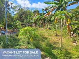  Land for sale in Rizal, Calabarzon, San Mateo, Rizal