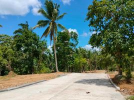  Land for sale in Cavite, Calabarzon, Alfonso, Cavite