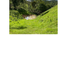 2 Bedroom Villa for sale in Guaduas Cundinamarca, Guaduas