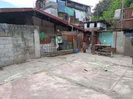  Grundstück zu verkaufen in Taguig City, Metro Manila, Taguig City