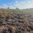  Land for sale in Conocoto, Pichincha, Conocoto