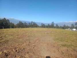  Land for sale in Conocoto, Pichincha, Conocoto