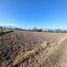  Land for sale in Conocoto, Pichincha, Conocoto
