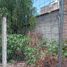  Land for sale in Zapotitlan, Puebla, Zapotitlan