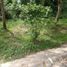  Land for sale in Angono, Calabarzon, Angono