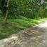  Land for sale in Angono, Calabarzon, Angono