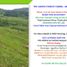 Land for sale in Angono, Calabarzon, Angono