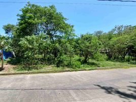  Grundstück zu verkaufen in Muntinlupa City, Metro Manila, Muntinlupa City