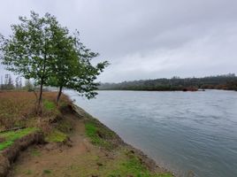  Grundstück zu verkaufen in Valdivia, Los Rios, Mariquina