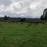  Land for sale in Los Rios, Mariquina, Valdivia, Los Rios