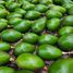  Terreno (Parcela) en venta en Santa Elena, Santa Elena, Santa Elena