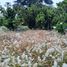  Terreno (Parcela) en venta en Santa Elena, Santa Elena, Santa Elena