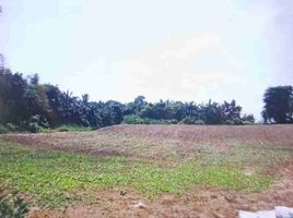  Land for sale in Tanauan City, Batangas, Tanauan City