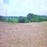  Land for sale in Tanauan City, Batangas, Tanauan City