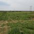  Terreno (Parcela) en venta en Piura, Piura, Piura, Piura