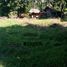  Land for sale in Dauin, Negros Oriental, Dauin