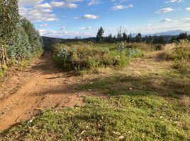  Land for sale in Gonzanama, Loja, Gonzanama, Gonzanama