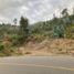  Land for sale in Gonzanama, Loja, Gonzanama, Gonzanama