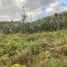  Land for sale in Gonzanama, Loja, Gonzanama, Gonzanama